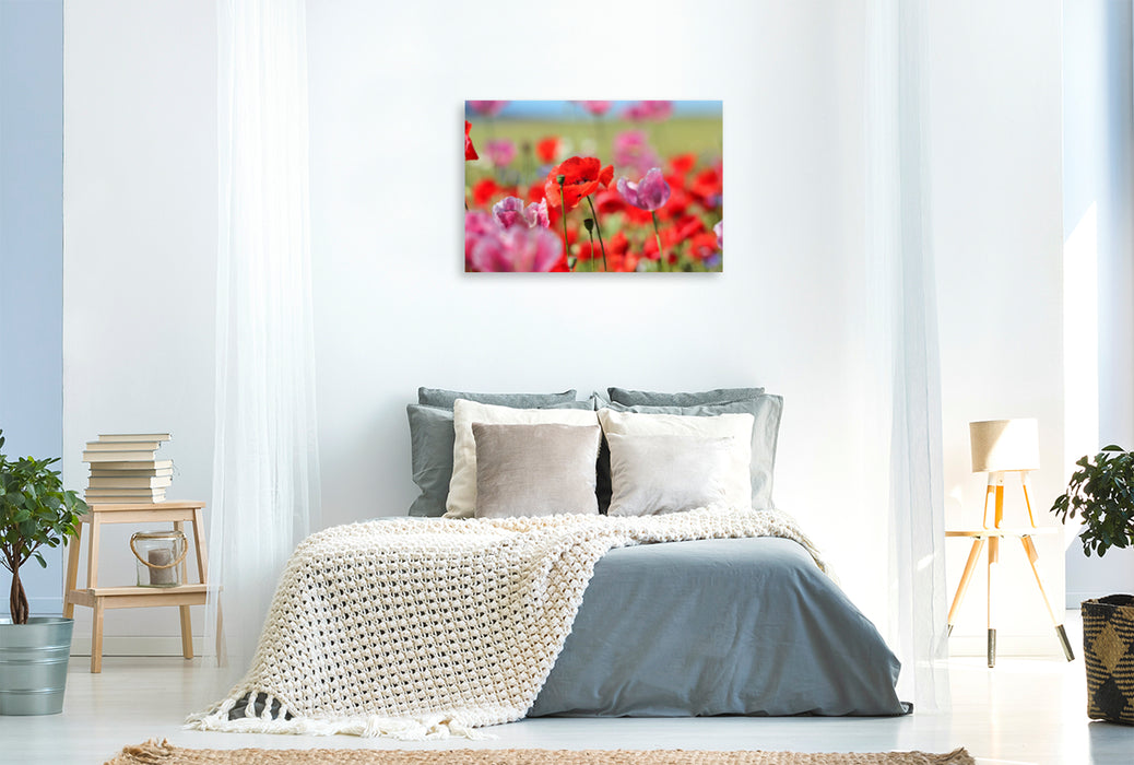 Premium textile canvas Premium textile canvas 120 cm x 80 cm landscape Red meets pink 