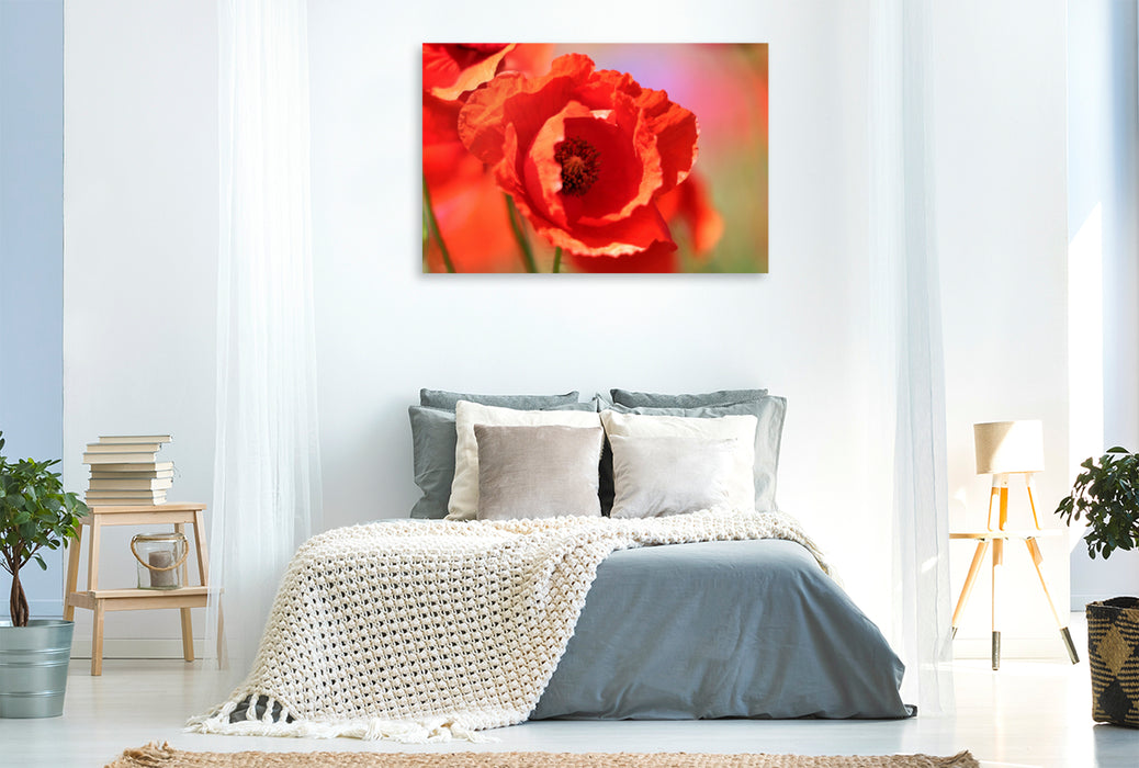 Premium textile canvas Premium textile canvas 120 cm x 80 cm landscape Corn poppies up close 
