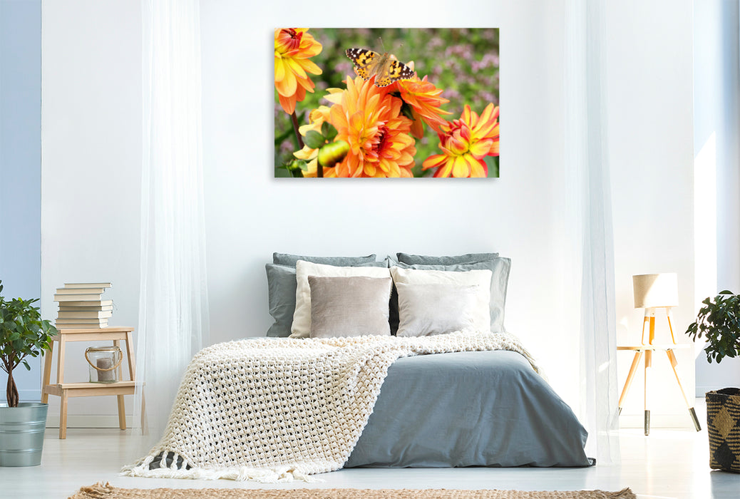 Premium textile canvas Premium textile canvas 120 cm x 80 cm landscape Painted lady on dahlia 