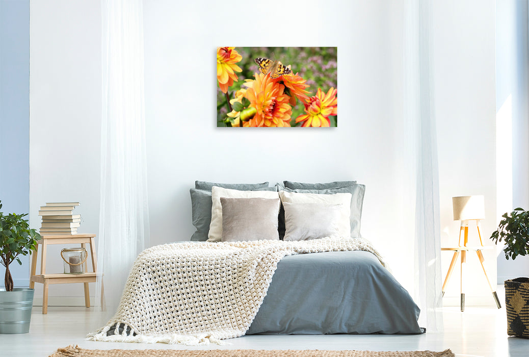 Premium textile canvas Premium textile canvas 120 cm x 80 cm landscape Painted lady on dahlia 