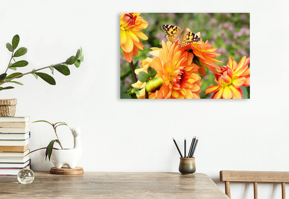 Premium textile canvas Premium textile canvas 120 cm x 80 cm landscape Painted lady on dahlia 