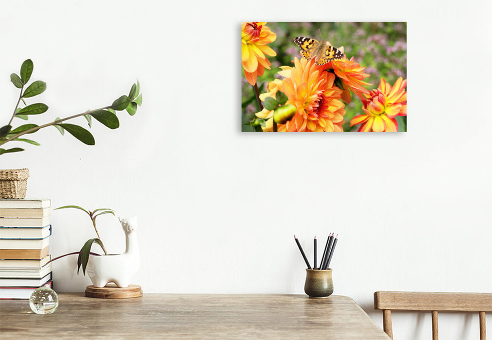 Premium textile canvas Premium textile canvas 120 cm x 80 cm landscape Painted lady on dahlia 