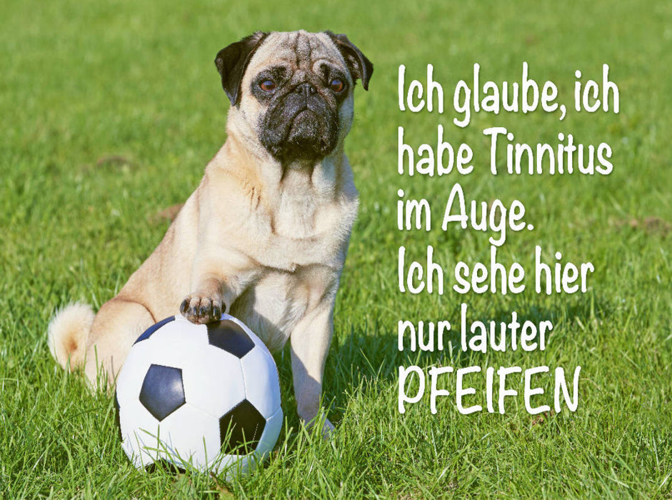 Ich glaube, ich habe Tinnitus im Auge. Ich sehe hier nur lauter Pfeifen. - CALVENDO Foto-Puzzle'
