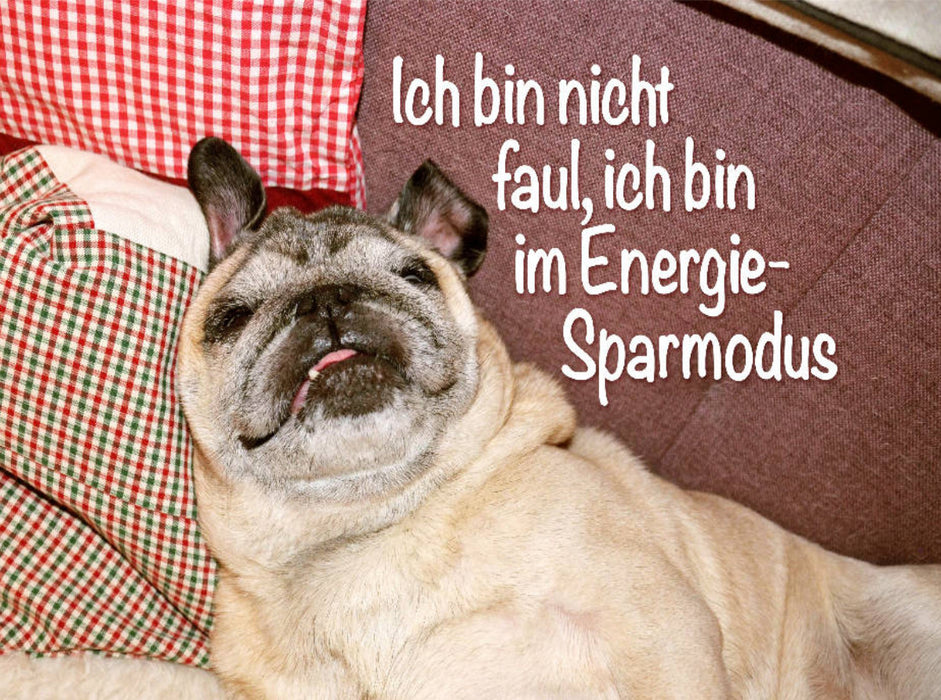 Ich bin nicht faul, ich bin im Energie-Sparmodus. - CALVENDO Foto-Puzzle'