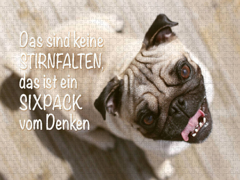 Das sind keine Stirnfalten, das ist ein Sixpack vom Denken. - CALVENDO Foto-Puzzle'