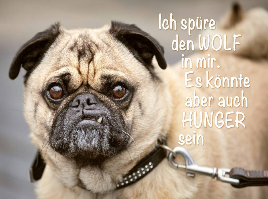 Ich spüre den Wolf in mir. Es könnte aber auch Hunger sein. - CALVENDO Foto-Puzzle'