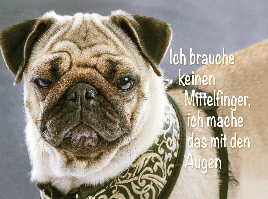 Ich brauche keinen Mittelfinger, ich mache das mit den Augen. - CALVENDO Foto-Puzzle'