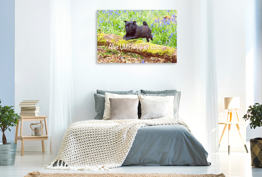 Premium textile canvas Premium textile canvas 120 cm x 80 cm across All dimensions are heavy. 