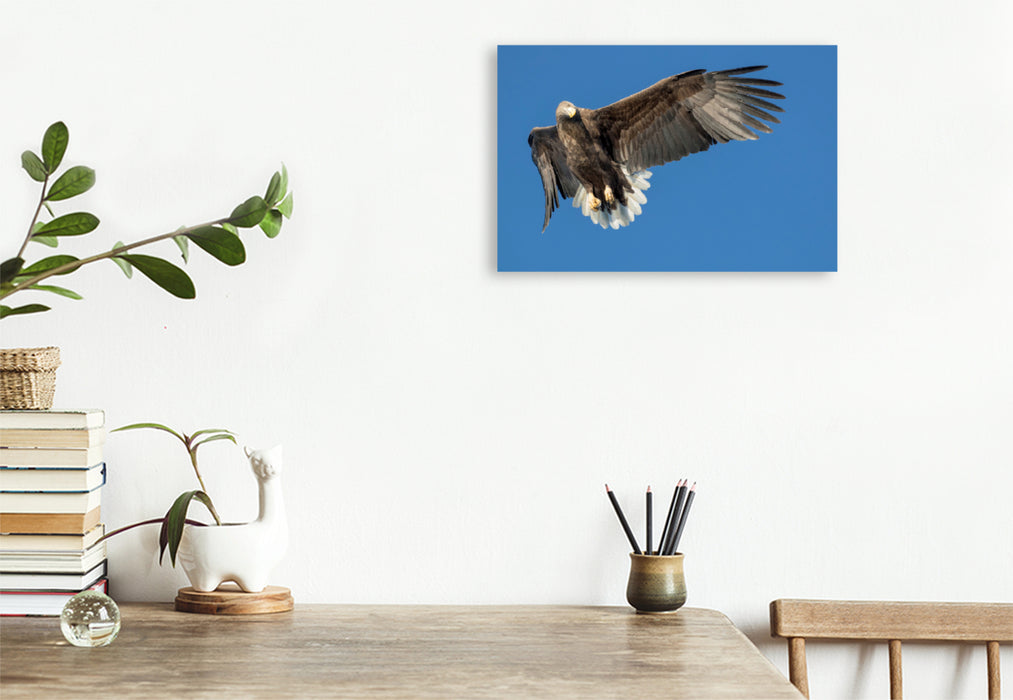 Premium textile canvas Premium textile canvas 120 cm x 80 cm landscape sea eagle 