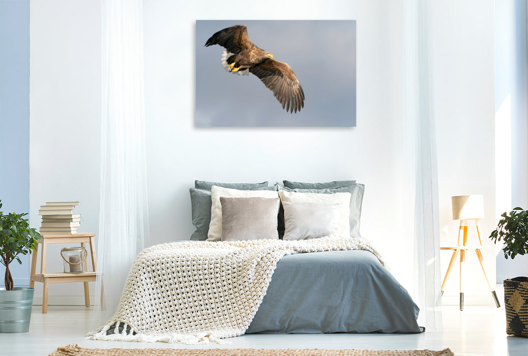 Premium textile canvas Premium textile canvas 120 cm x 80 cm landscape sea eagle 