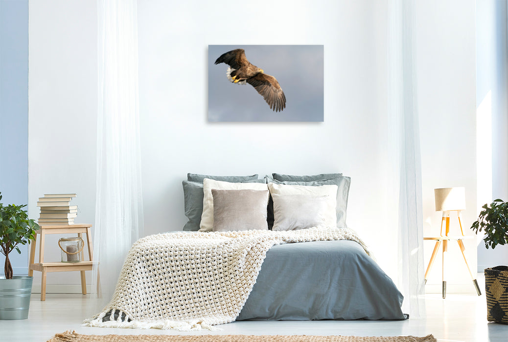 Premium textile canvas Premium textile canvas 120 cm x 80 cm landscape sea eagle 