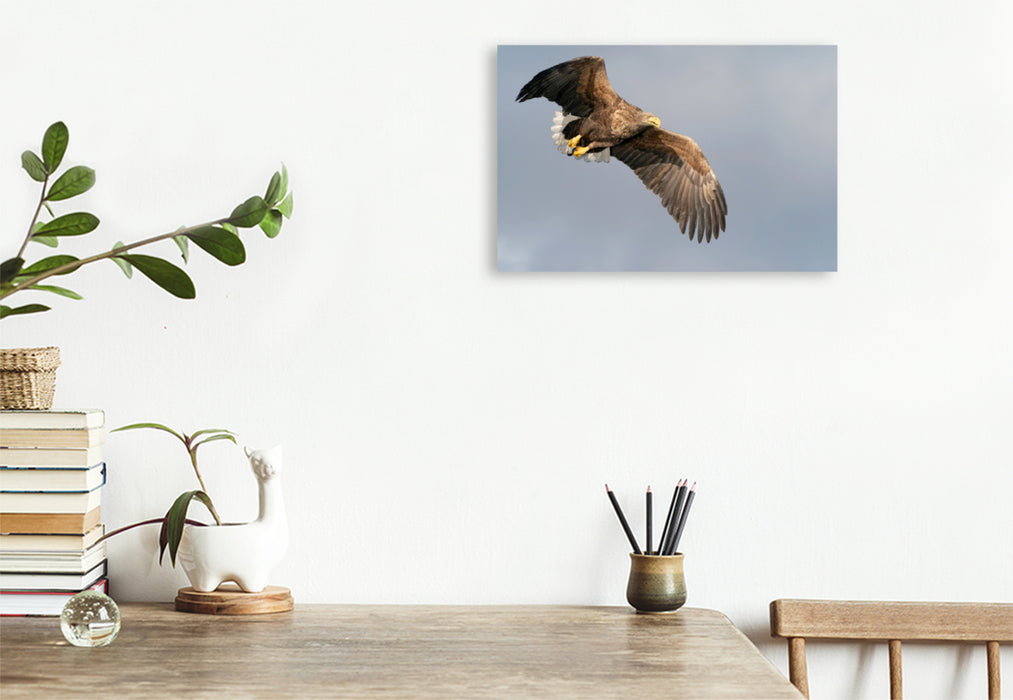 Premium textile canvas Premium textile canvas 120 cm x 80 cm landscape sea eagle 