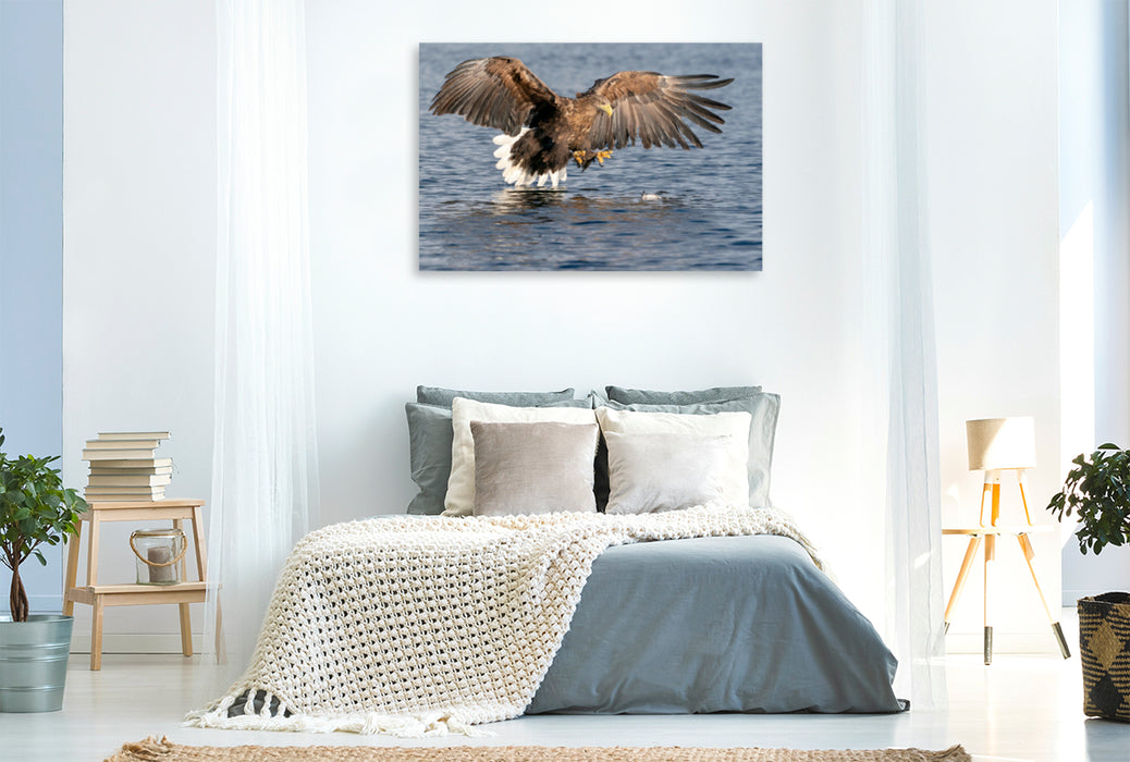 Premium textile canvas Premium textile canvas 120 cm x 80 cm landscape sea eagle 