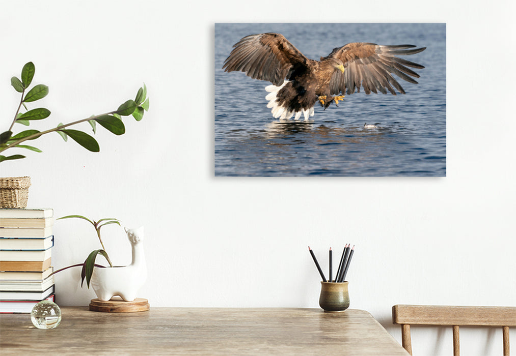 Premium textile canvas Premium textile canvas 120 cm x 80 cm landscape sea eagle 