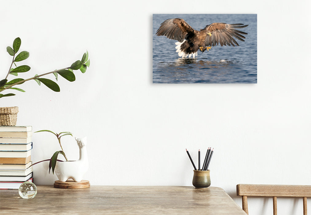 Premium textile canvas Premium textile canvas 120 cm x 80 cm landscape sea eagle 