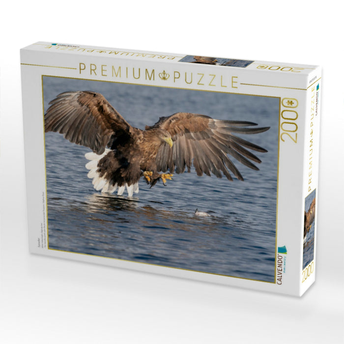 Seeadler - CALVENDO Foto-Puzzle'