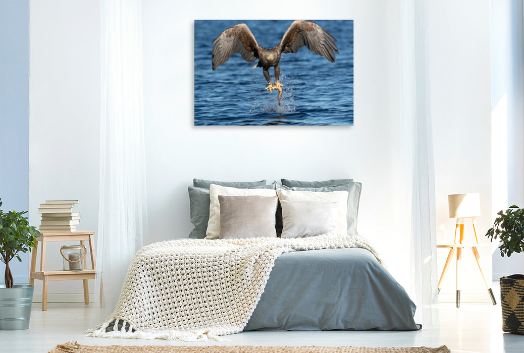 Premium textile canvas Premium textile canvas 120 cm x 80 cm landscape sea eagle 