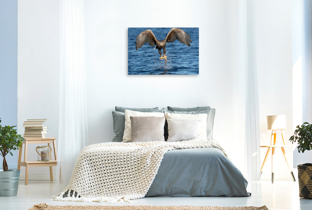 Premium textile canvas Premium textile canvas 120 cm x 80 cm landscape sea eagle 