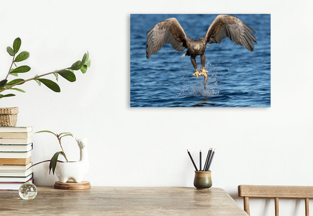 Premium textile canvas Premium textile canvas 120 cm x 80 cm landscape sea eagle 