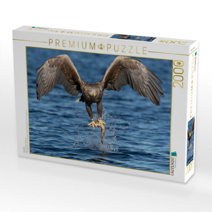 Seeadler - CALVENDO Foto-Puzzle'
