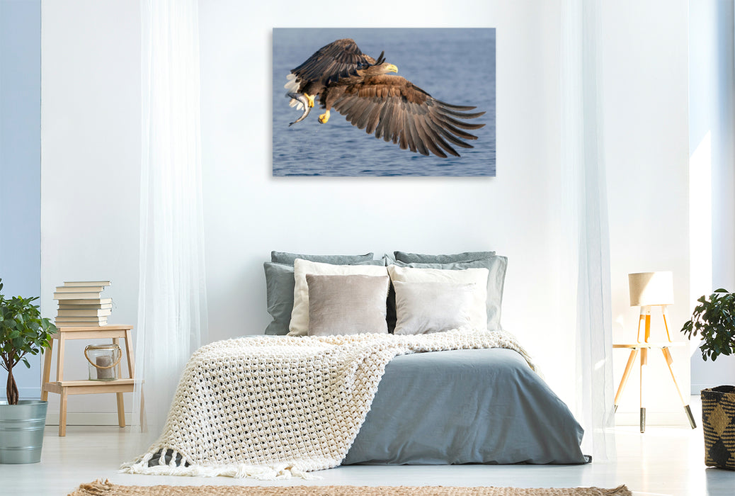 Premium textile canvas Premium textile canvas 120 cm x 80 cm landscape sea eagle 