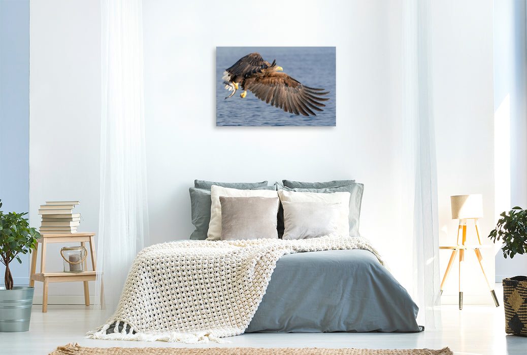 Premium textile canvas Premium textile canvas 120 cm x 80 cm landscape sea eagle 