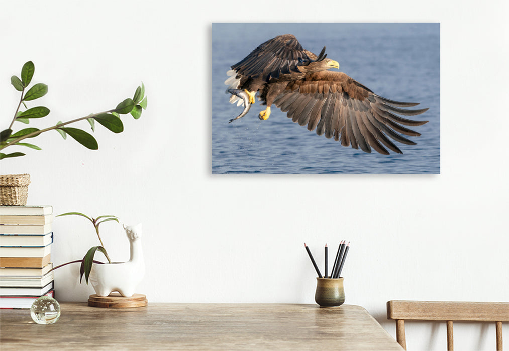 Premium textile canvas Premium textile canvas 120 cm x 80 cm landscape sea eagle 