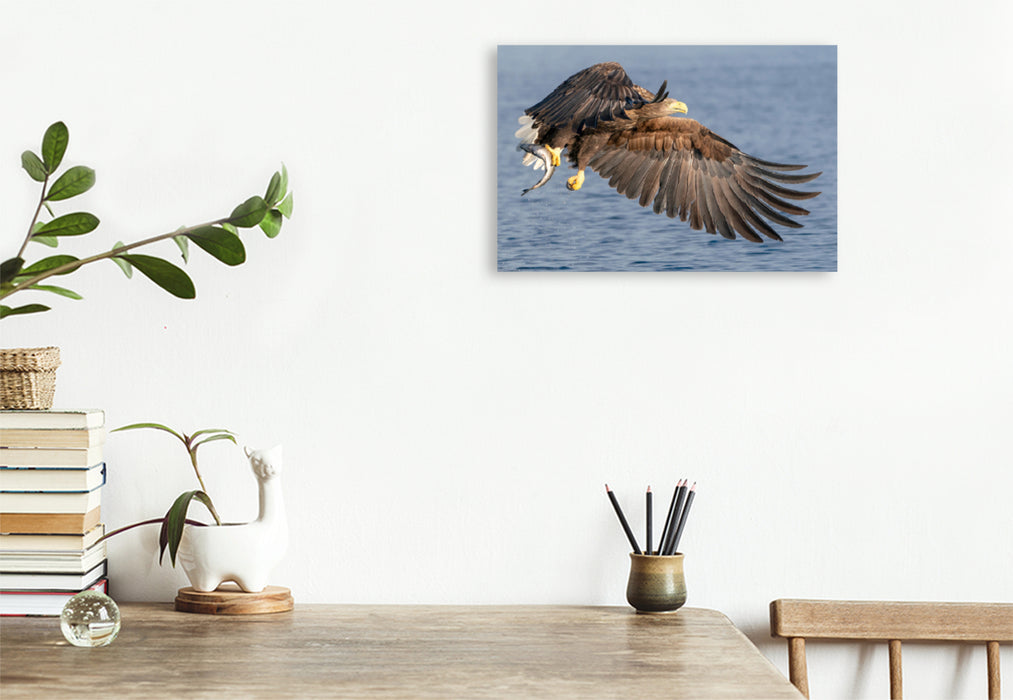 Premium textile canvas Premium textile canvas 120 cm x 80 cm landscape sea eagle 