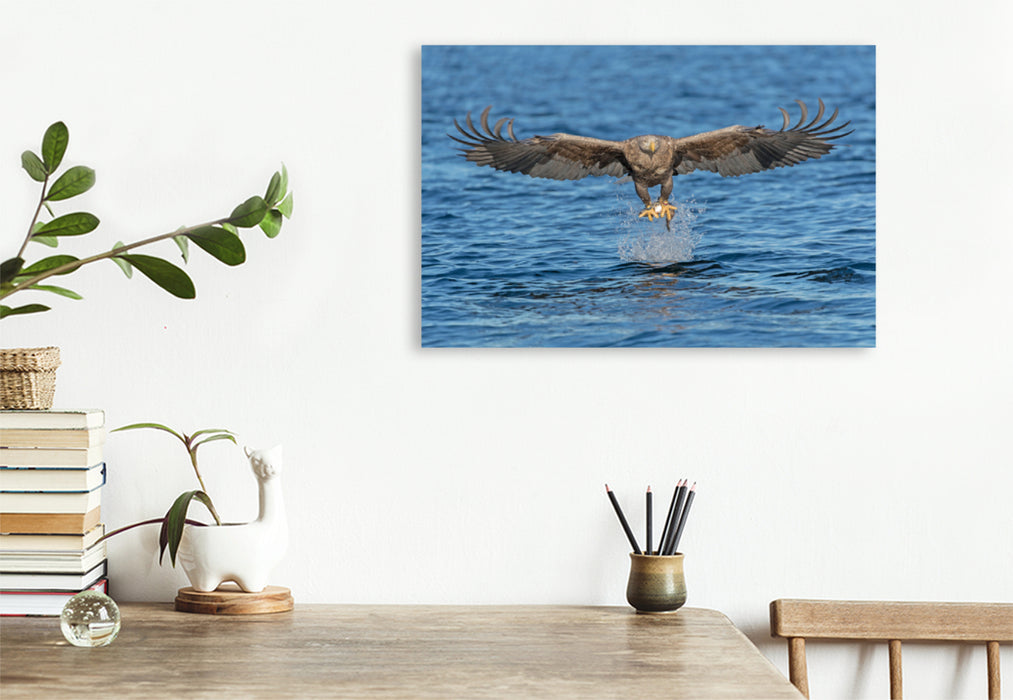 Premium textile canvas Premium textile canvas 120 cm x 80 cm landscape sea eagle 