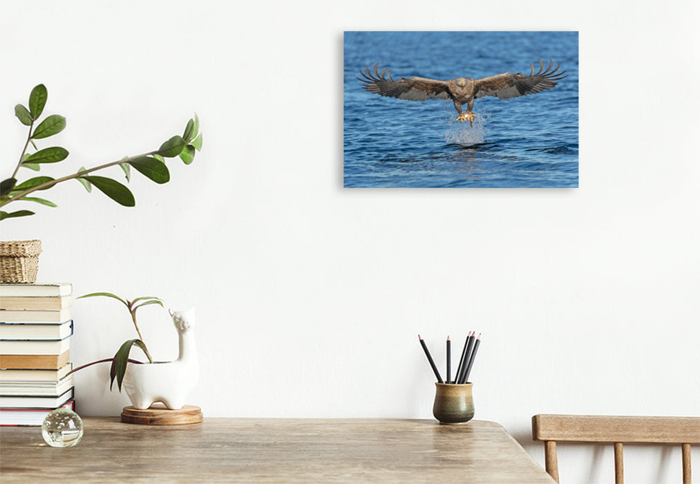 Premium textile canvas Premium textile canvas 120 cm x 80 cm landscape sea eagle 