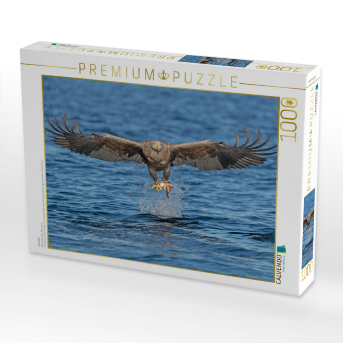 Seeadler - CALVENDO Foto-Puzzle'