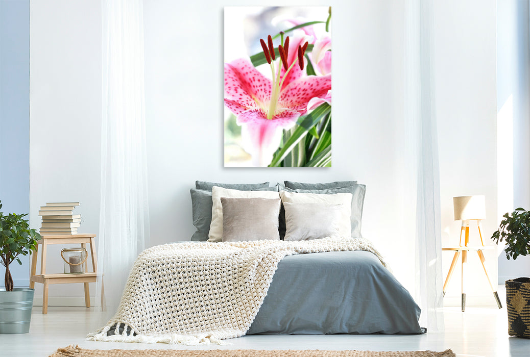 Premium Textil-Leinwand Premium Textil-Leinwand 80 cm x 120 cm  hoch Lilienblüte in feurigem Pink-Rot