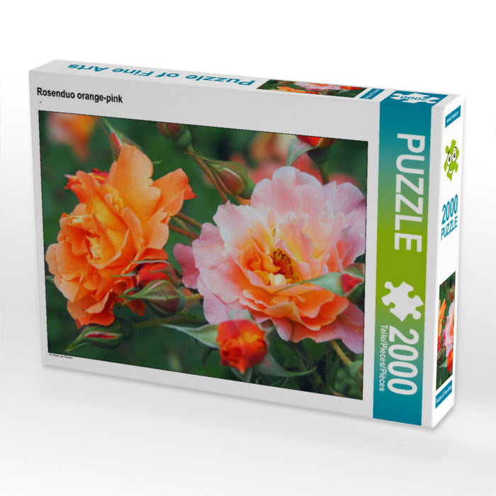 Rosenduo orange-pink 2000 Teile Puzzle quer - CALVENDO Foto-Puzzle'
