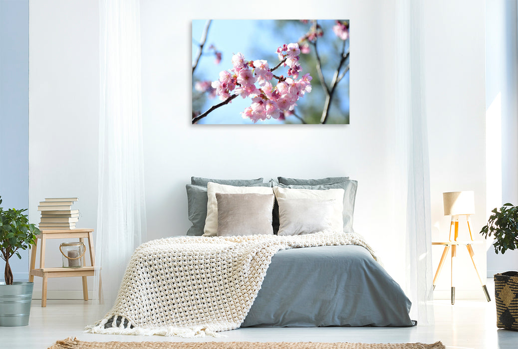 Premium Textil-Leinwand Premium Textil-Leinwand 120 cm x 80 cm quer Ein Motiv aus dem Kalender Die Kirschblüte in Japan