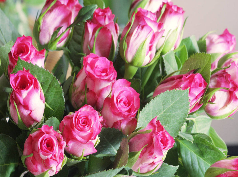 Rosenstrauß in Pink, Weiß und Grün - CALVENDO Foto-Puzzle'