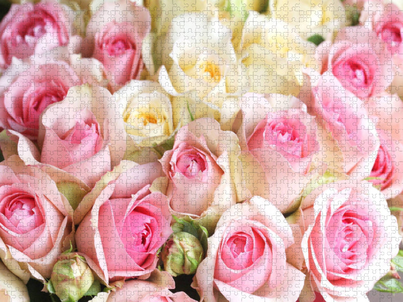 Rosen in zarten Pastelltönen - hellgelb und rosa - CALVENDO Foto-Puzzle'