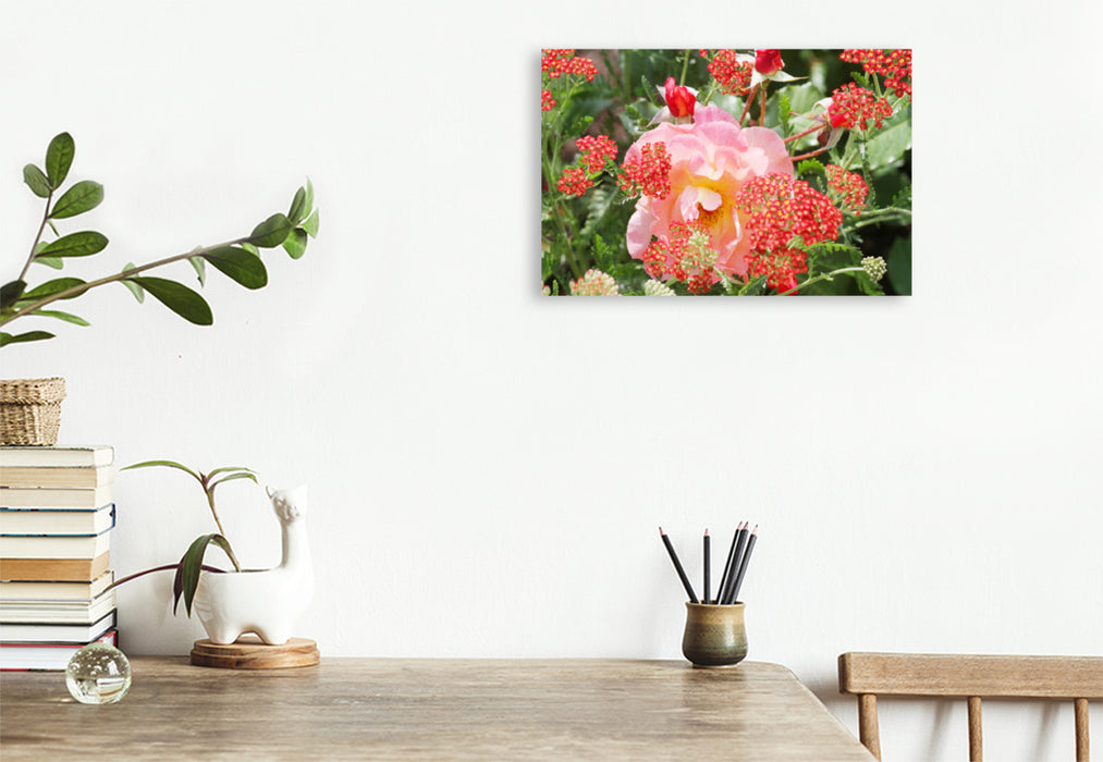 Premium textile canvas Premium textile canvas 120 cm x 80 cm landscape pink rose with red yarrow 