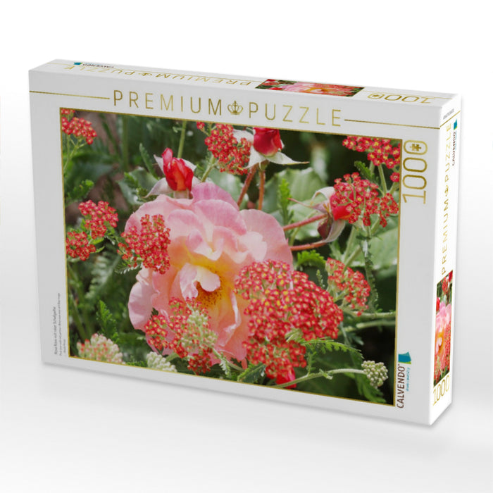 Rosa Rose mit roter Schafgarbe - CALVENDO Foto-Puzzle'
