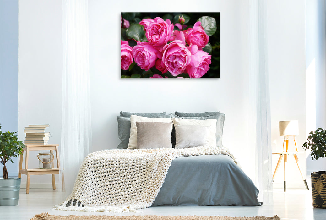 Premium Textil-Leinwand Premium Textil-Leinwand 120 cm x 80 cm quer Rose Leonardo da Vinci in sattem Pink
