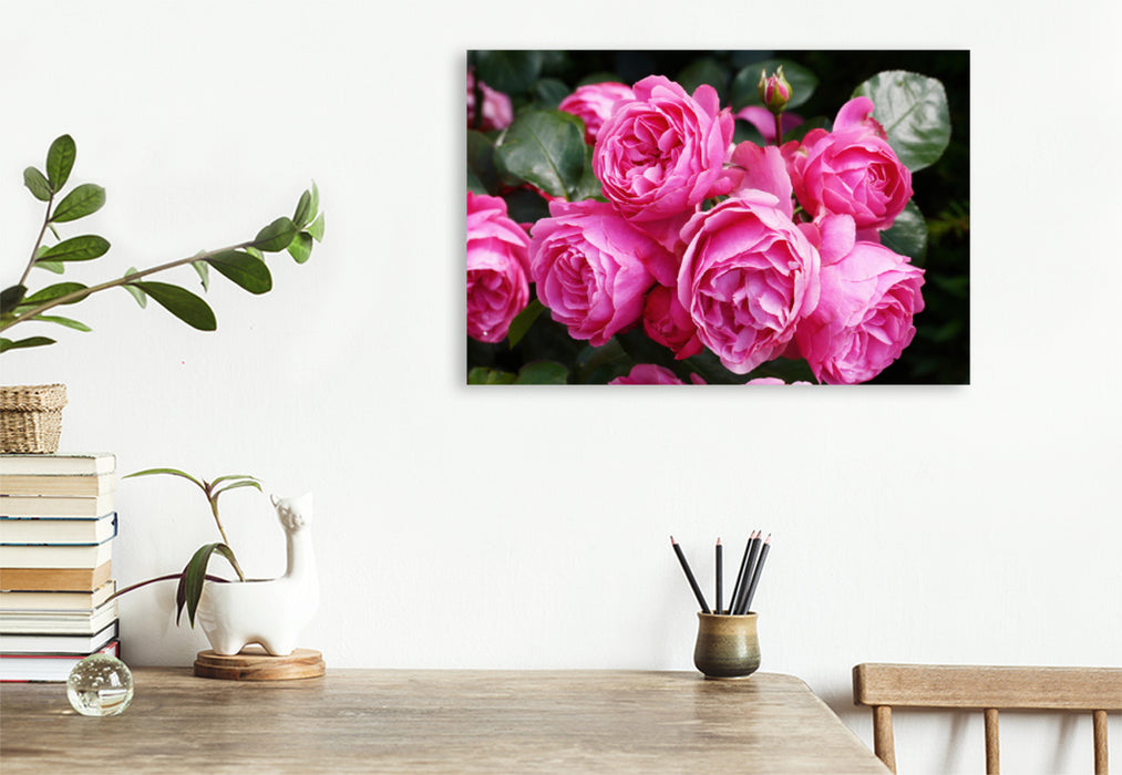 Premium textile canvas Premium textile canvas 120 cm x 80 cm landscape Rose Leonardo da Vinci in rich pink 