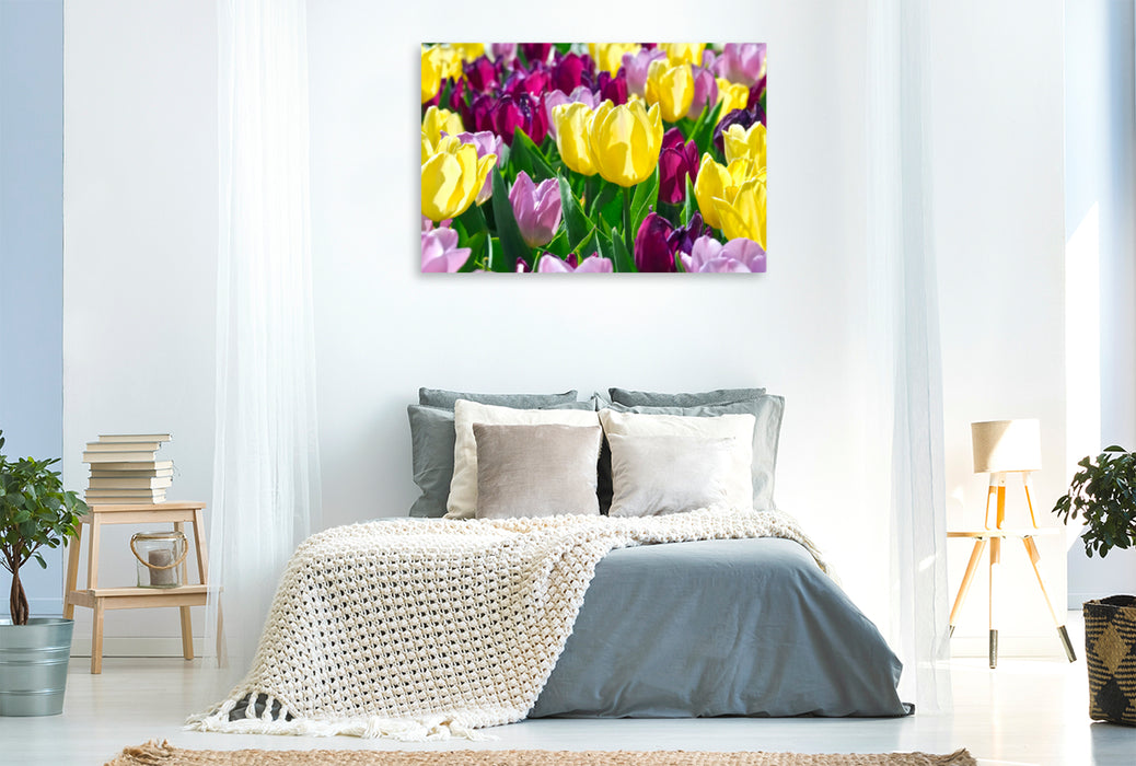 Premium textile canvas Premium textile canvas 120 cm x 80 cm landscape Near tulip magic 