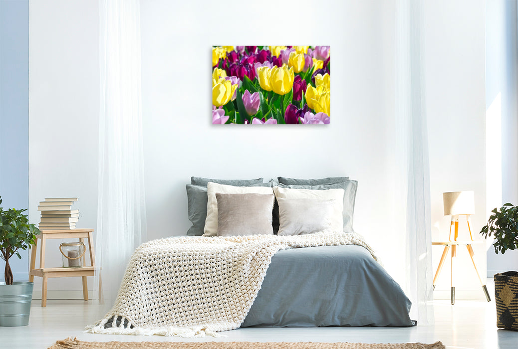 Premium textile canvas Premium textile canvas 120 cm x 80 cm landscape Near tulip magic 