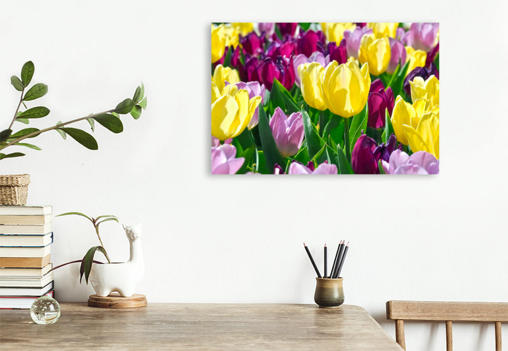 Premium textile canvas Premium textile canvas 120 cm x 80 cm landscape Near tulip magic 