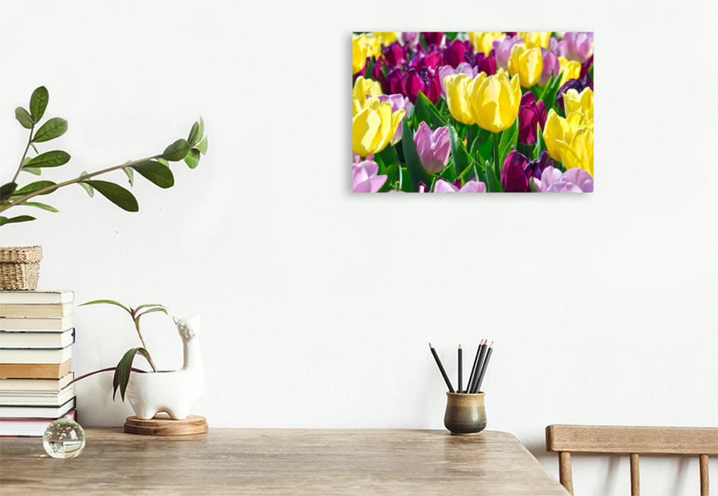 Premium textile canvas Premium textile canvas 120 cm x 80 cm landscape Near tulip magic 