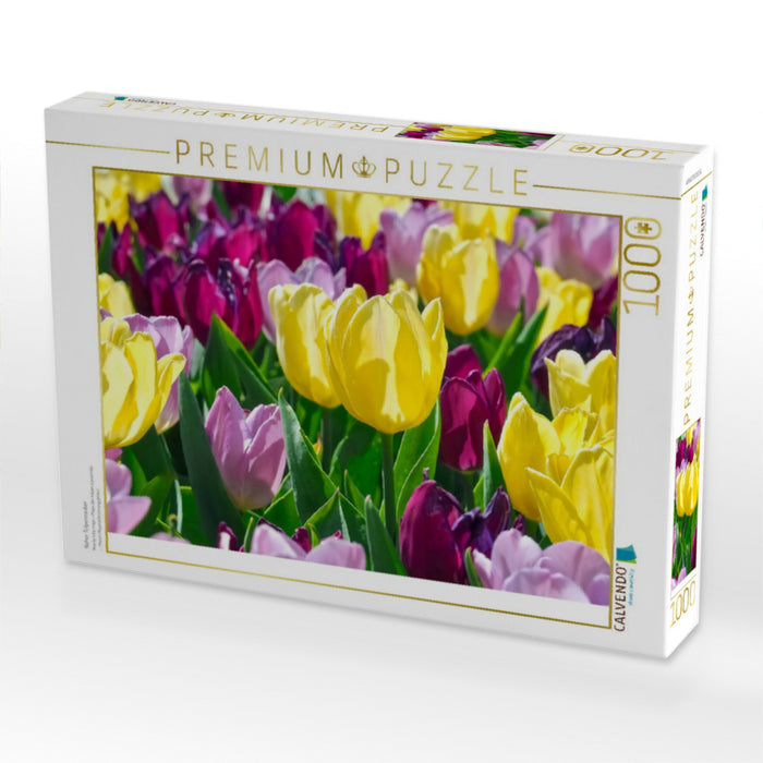 Naher Tulpenzauber - CALVENDO Foto-Puzzle'