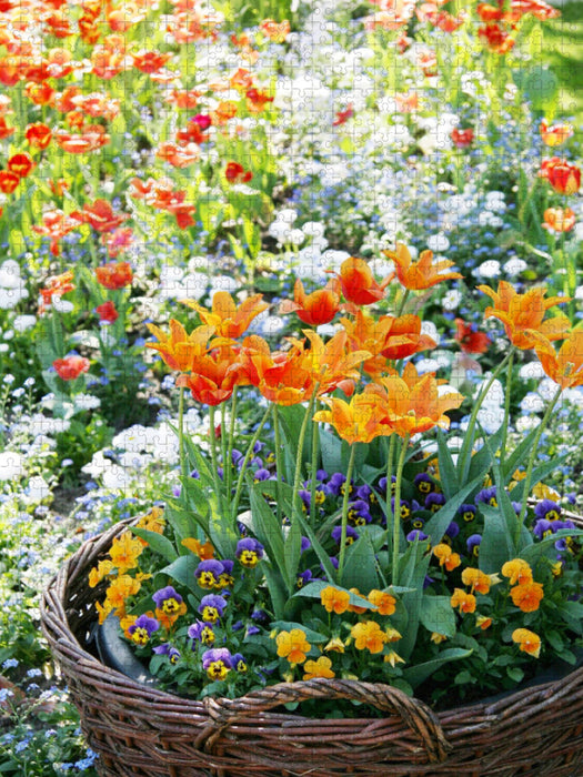 Orange Tulpen im Weidenkorb umgeben von Hornveilchen - CALVENDO Foto-Puzzle'