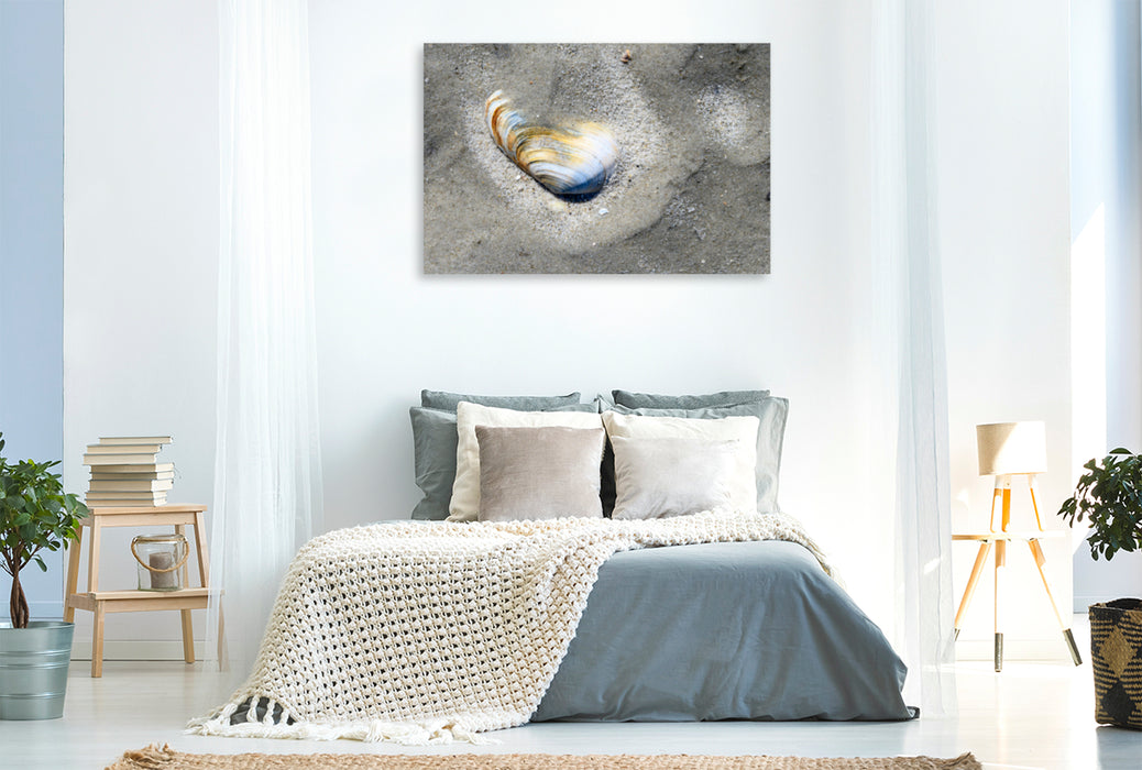 Premium textile canvas Premium textile canvas 120 cm x 80 cm landscape Magnificent play of colors of a shell on the beach 