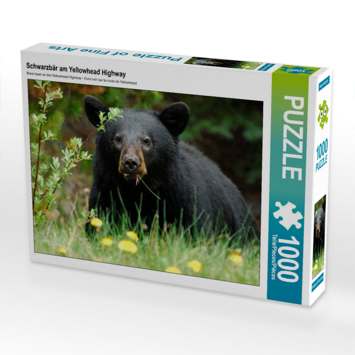 Black Bear on the Yellowhead Highway - CALVENDO Photo Puzzle 
