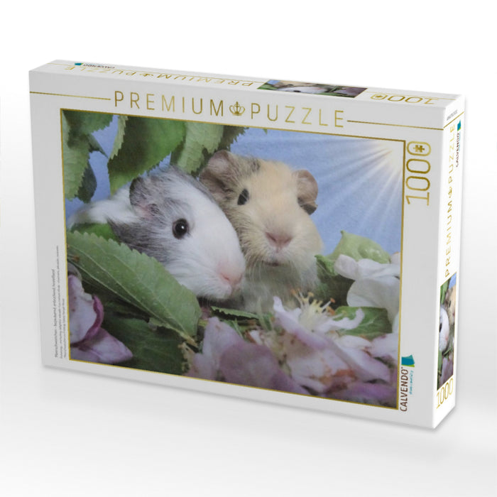 Meerschweinchen - bezaubernd, entzückend, hinreißend - CALVENDO Foto-Puzzle'