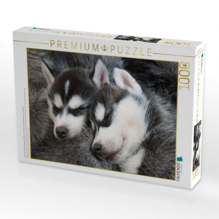 Sibirische Husky Welpen schlafen und träumen von Abenteuern im Schnee - CALVENDO Foto-Puzzle'